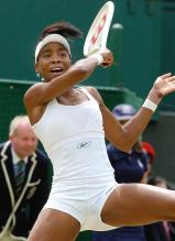 Venus Williams 2007 Wimbledon tennis.jpg