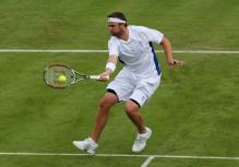 Mardy Fish hits a forehand volley.jpg