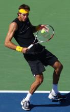 Juan Martin Del Potro blocks a body shot.JPG