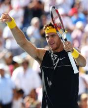 Del Potro points to the crowd in celebration.JPG