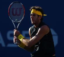 Juan Martin Del Potro two handed backhand followthrough.JPG