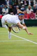 Mardy Fish dives for a ball at Wimbledon 2011.JPG