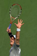 Andy Murray ball toss about to hit the serve.jpg